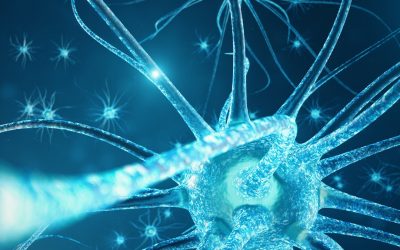 Vagus nerv – bitna karika zdravlja