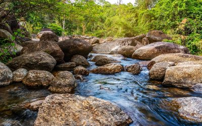 Svetski dan voda – 22. mart