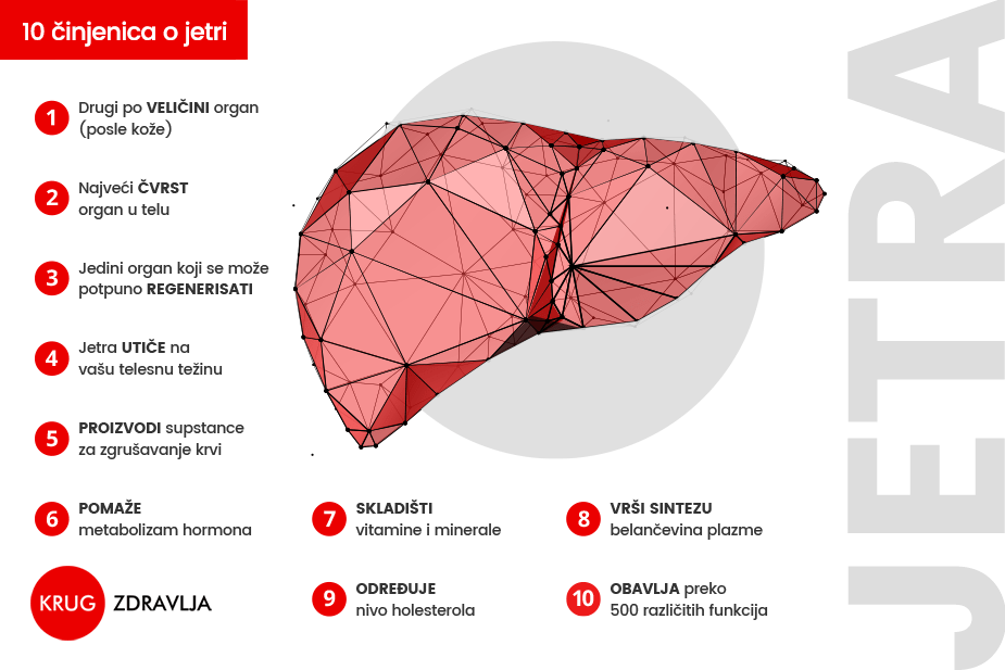 vizuelni prikaz funkcija koje ima jetra