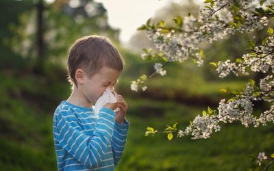Prolećne alergije