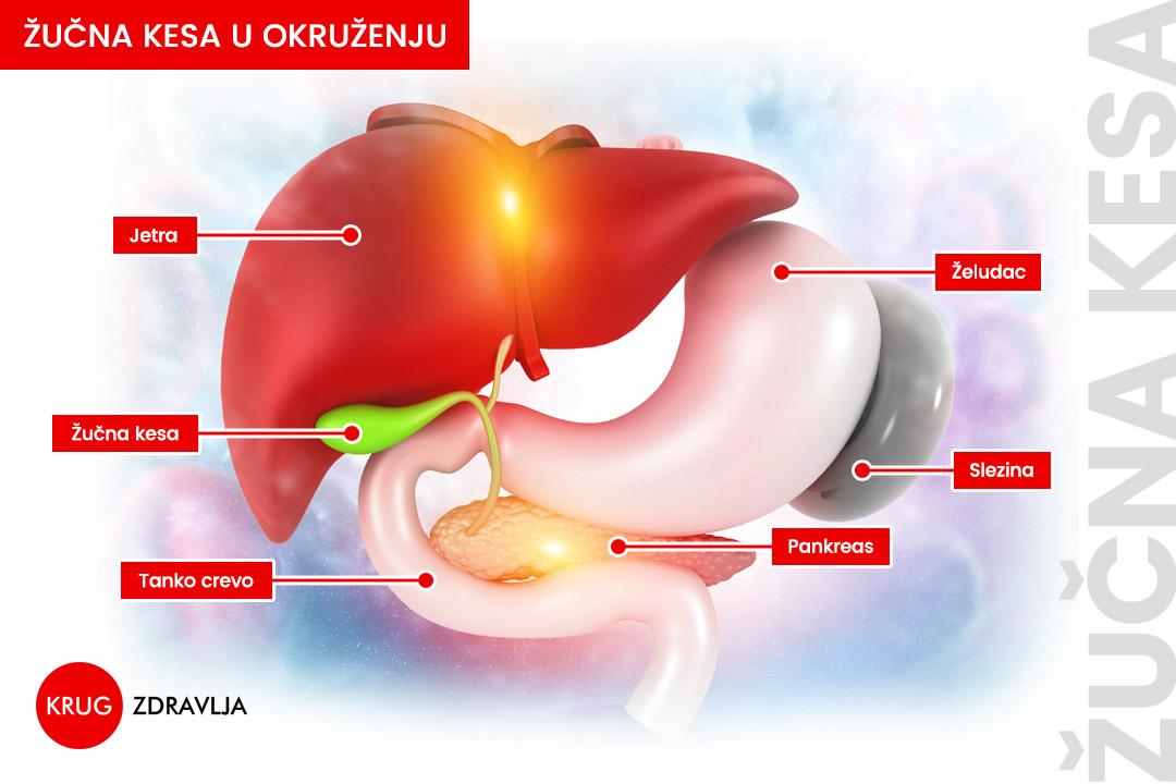 Žučna kesa u okruženju
