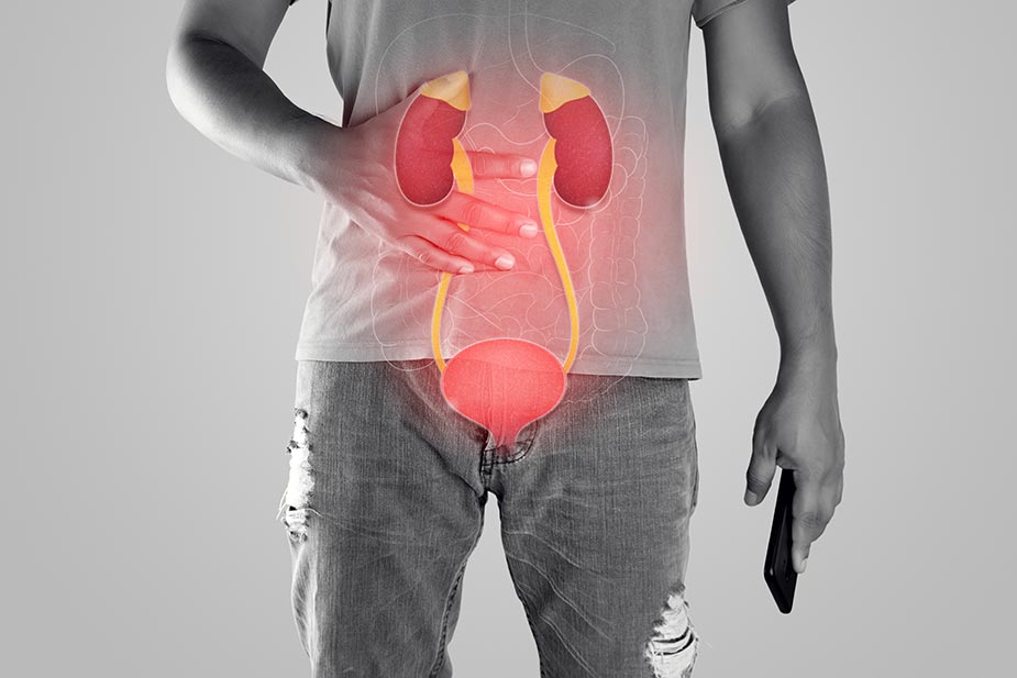 Prikaz urinarnog trakta - Urinarne infekcije