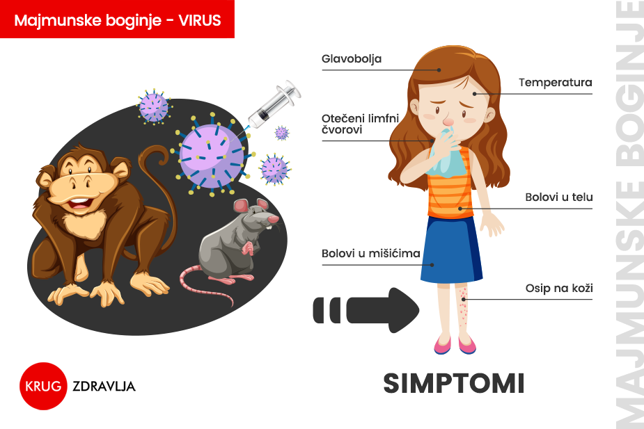 Infografik - majmunske boginje