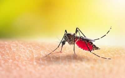 Kako se zaštititi od tropskih bolesti tokom putovanja