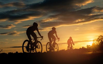 Vežbanje i njegov uticaj na hormone – 23.08.2023.